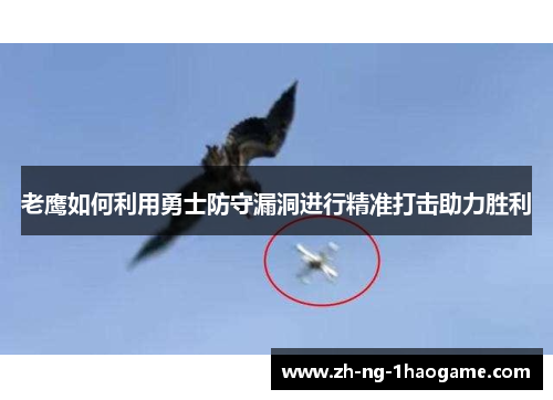 老鹰如何利用勇士防守漏洞进行精准打击助力胜利